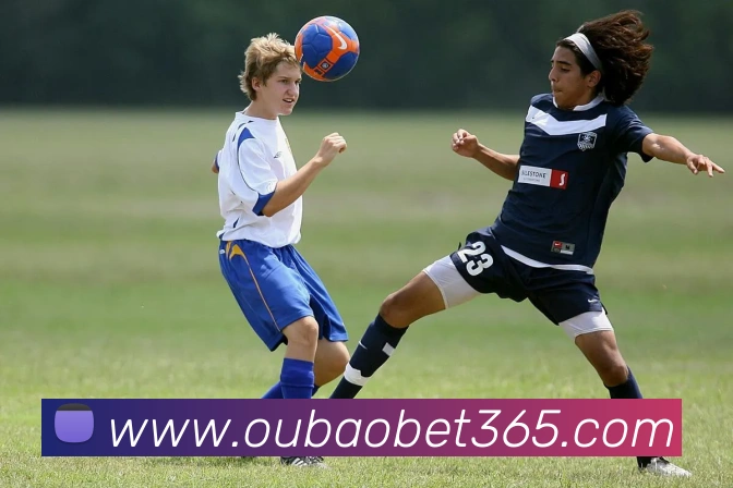 欧宝体育平台生态图